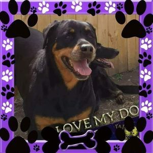 Meet your Posher, Lorilynn